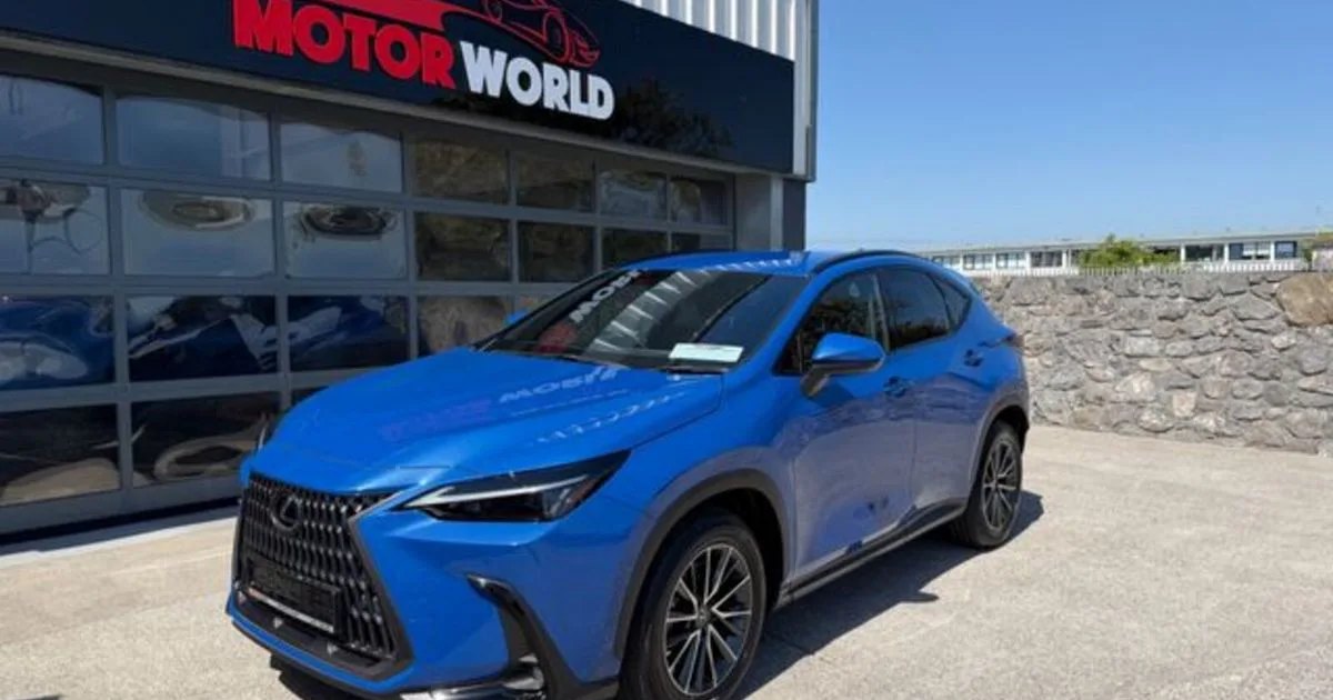 2024 Lexus NX