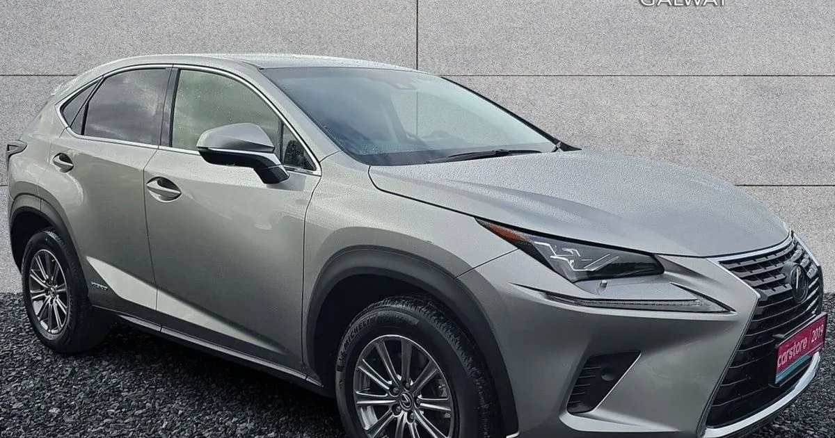 2019 Lexus NX