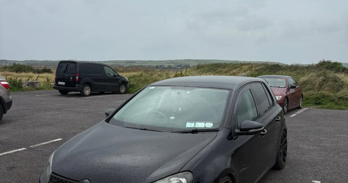 2010 Volkswagen Golf