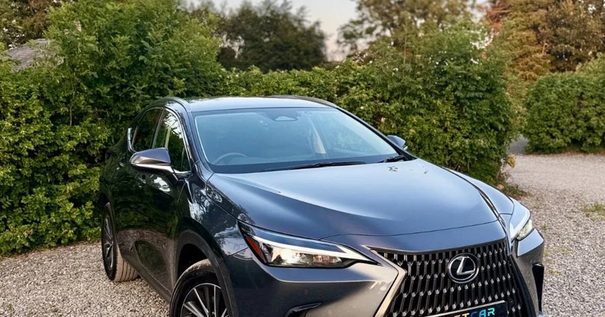 2025 Lexus NX 450h+