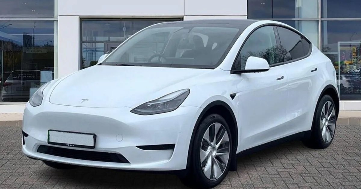 2022 Tesla Model Y