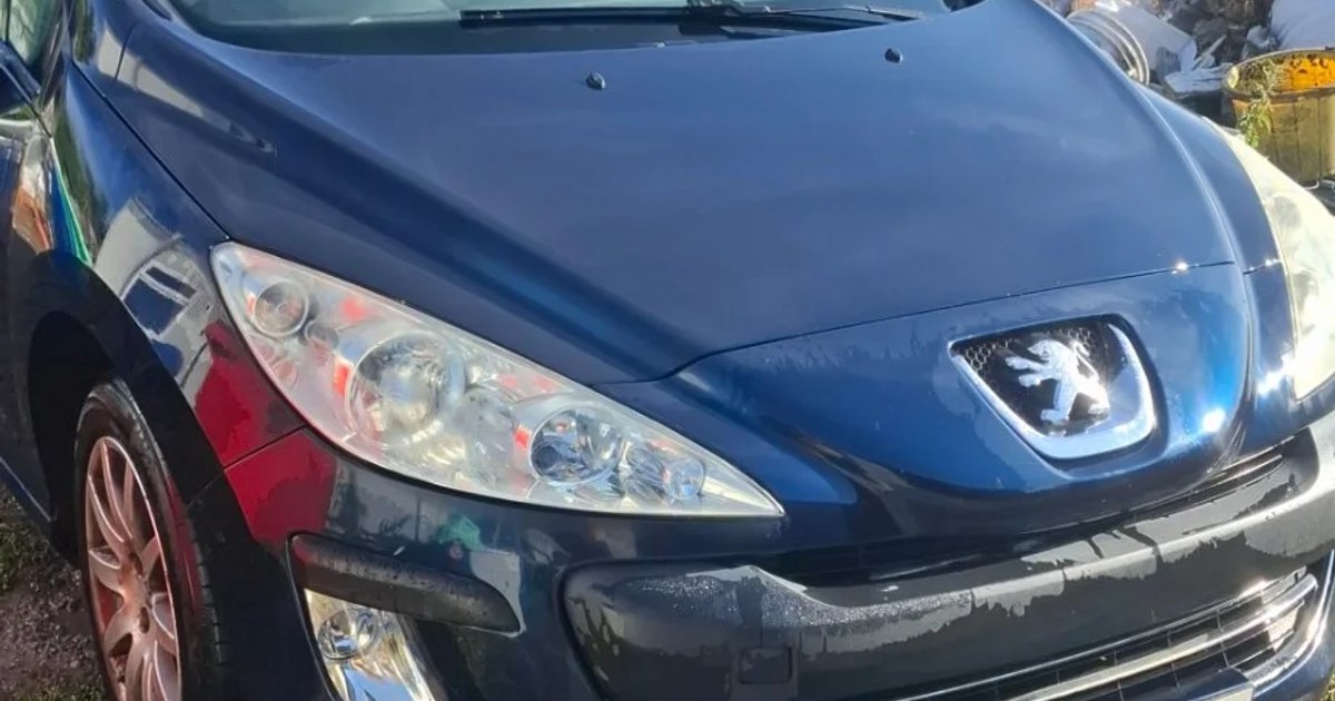 2009 Peugeot 308