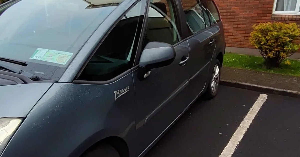 2009 Citroen C4