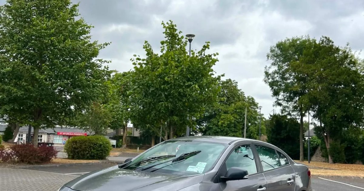 2011 Renault Fluence