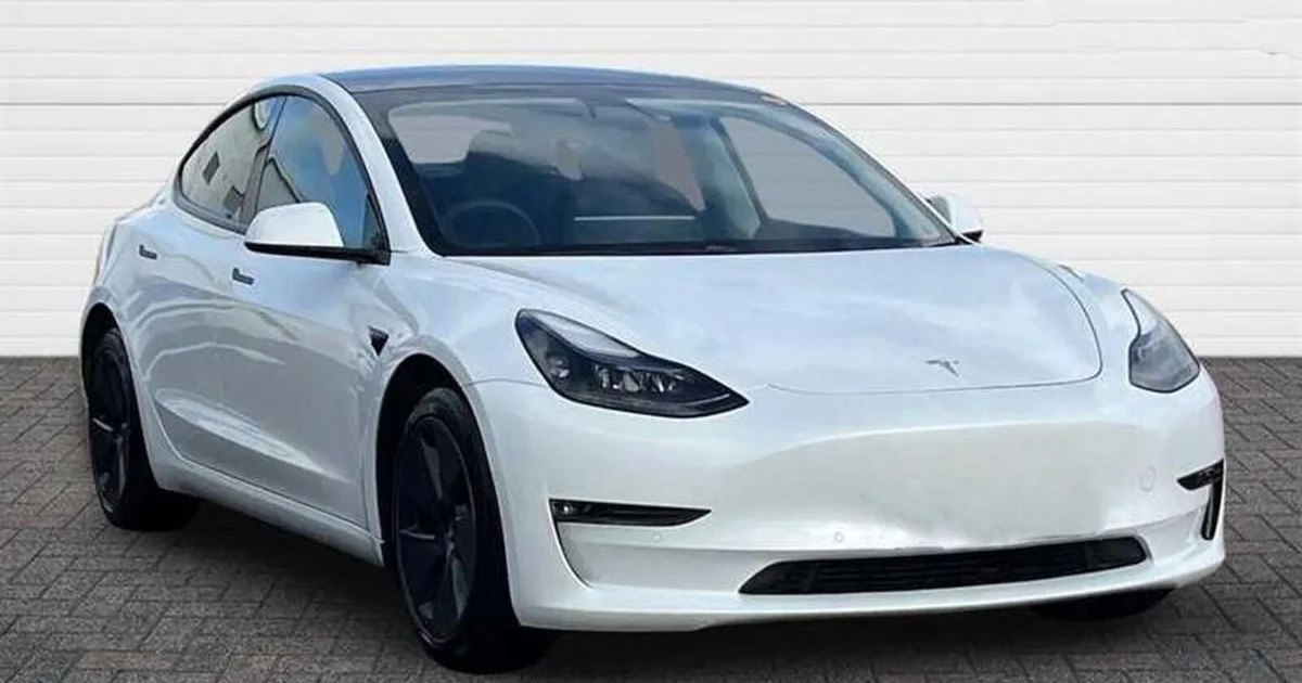 2023 Tesla Model 3