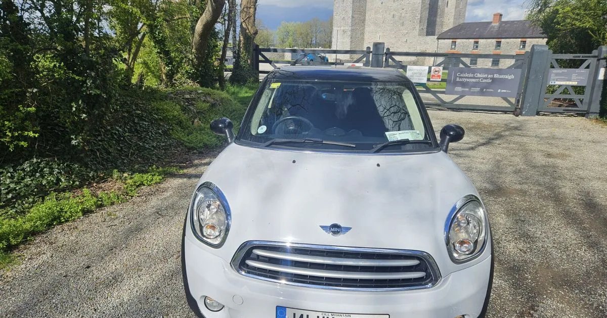 2014 Mini Paceman