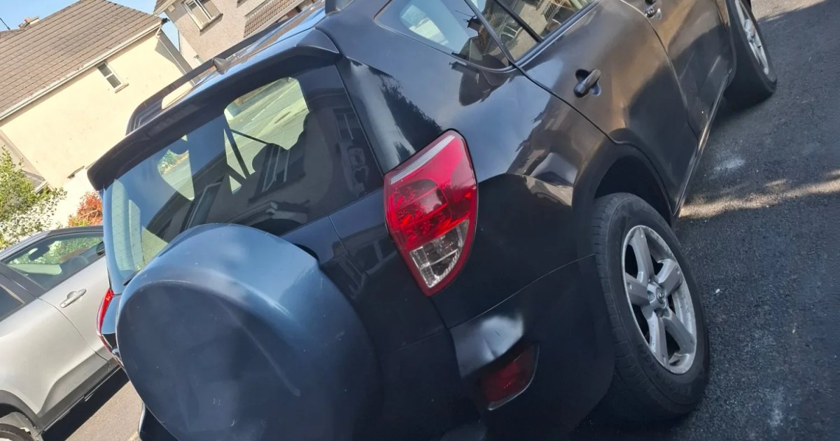 2008 Toyota Rav-4 NG 4X4 2.2 D4D Luna