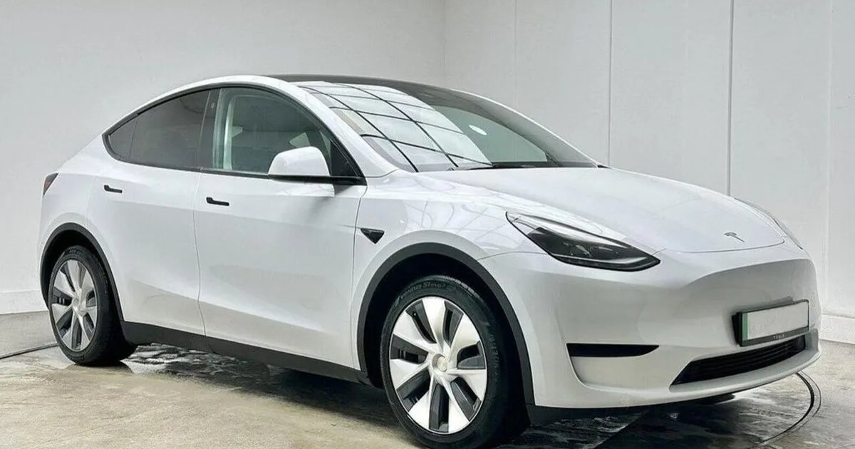 2022 Tesla Model Y