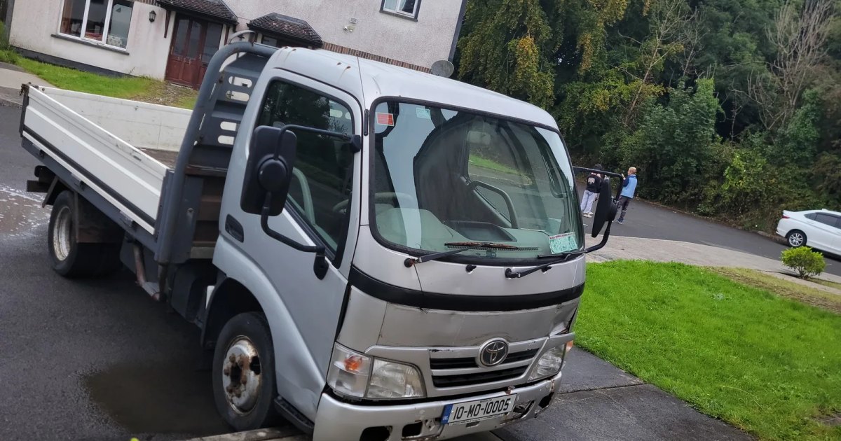2010 Toyota Dyna