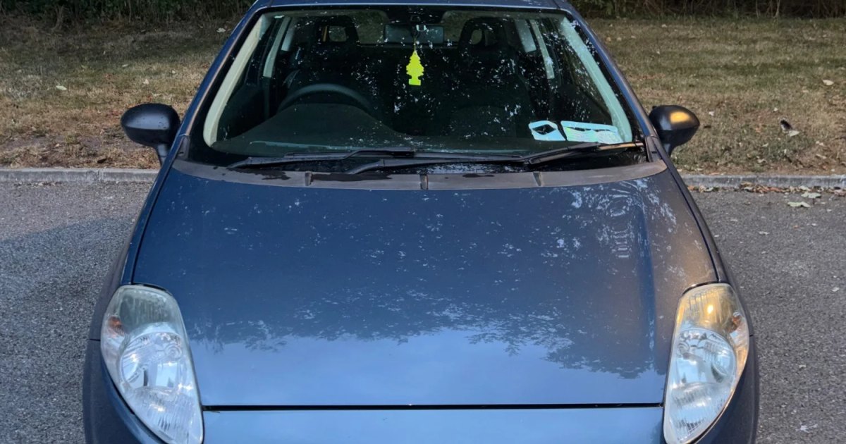 2009 Fiat Punto