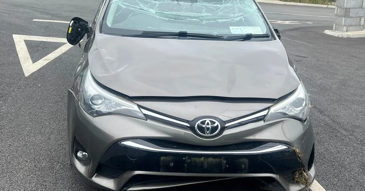 Car for sale