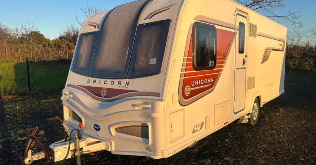 2014 Bailey Bailey unicorn