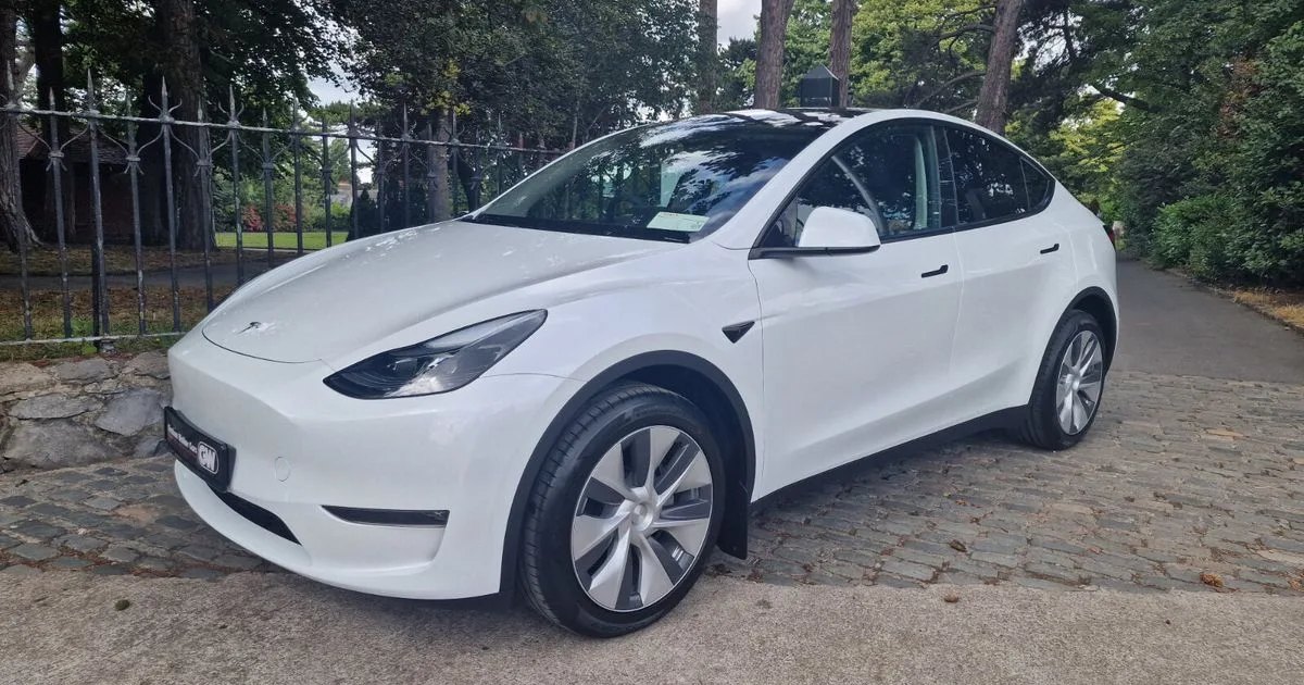 2024 Tesla Model Y