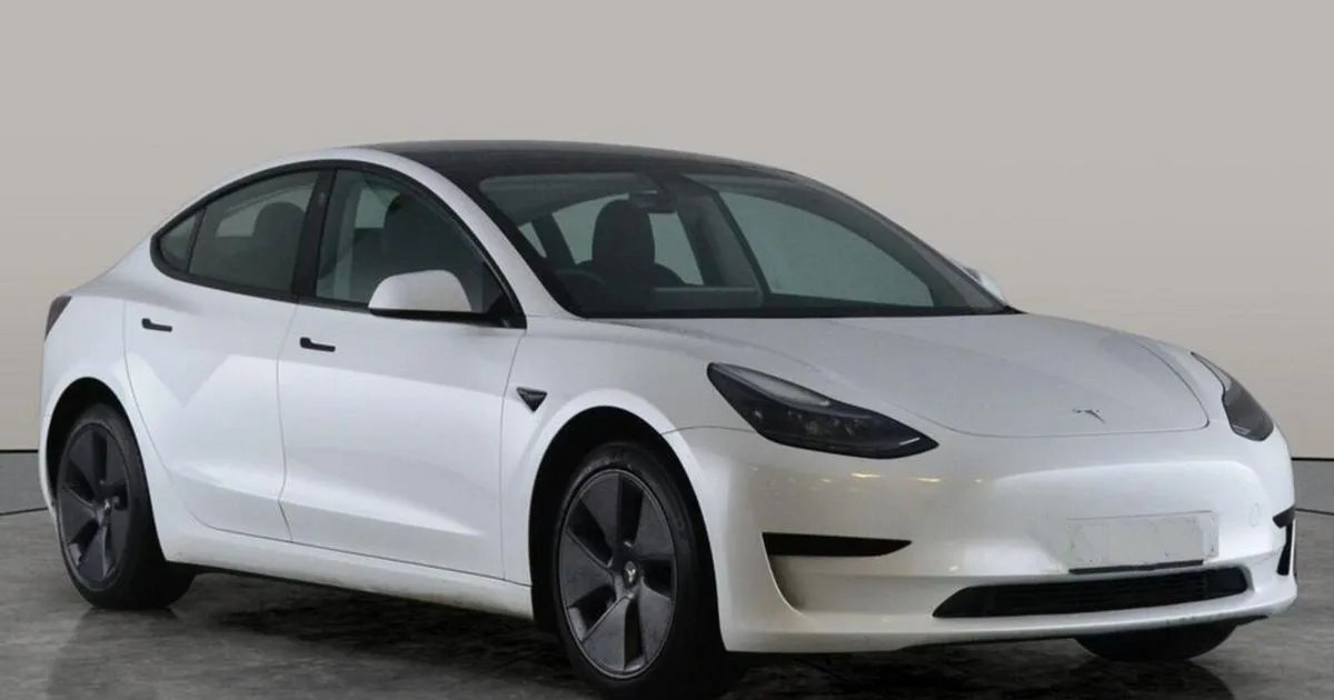 2023 Tesla Model 3