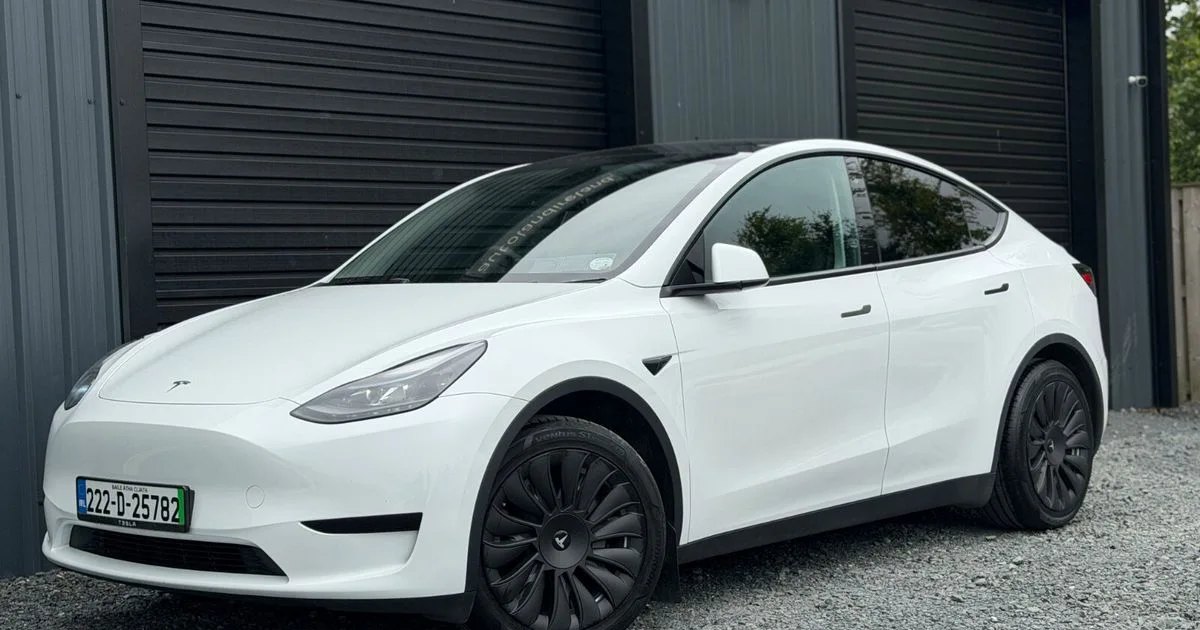 2022 Tesla Model Y