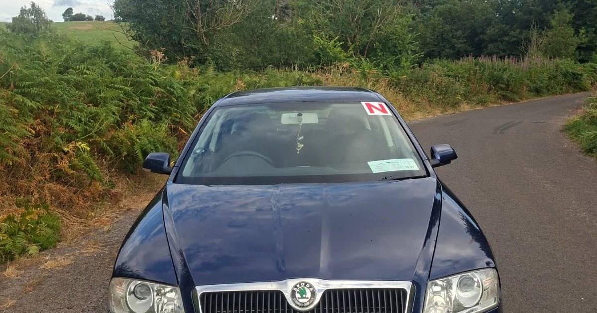 2009 Skoda Octavia