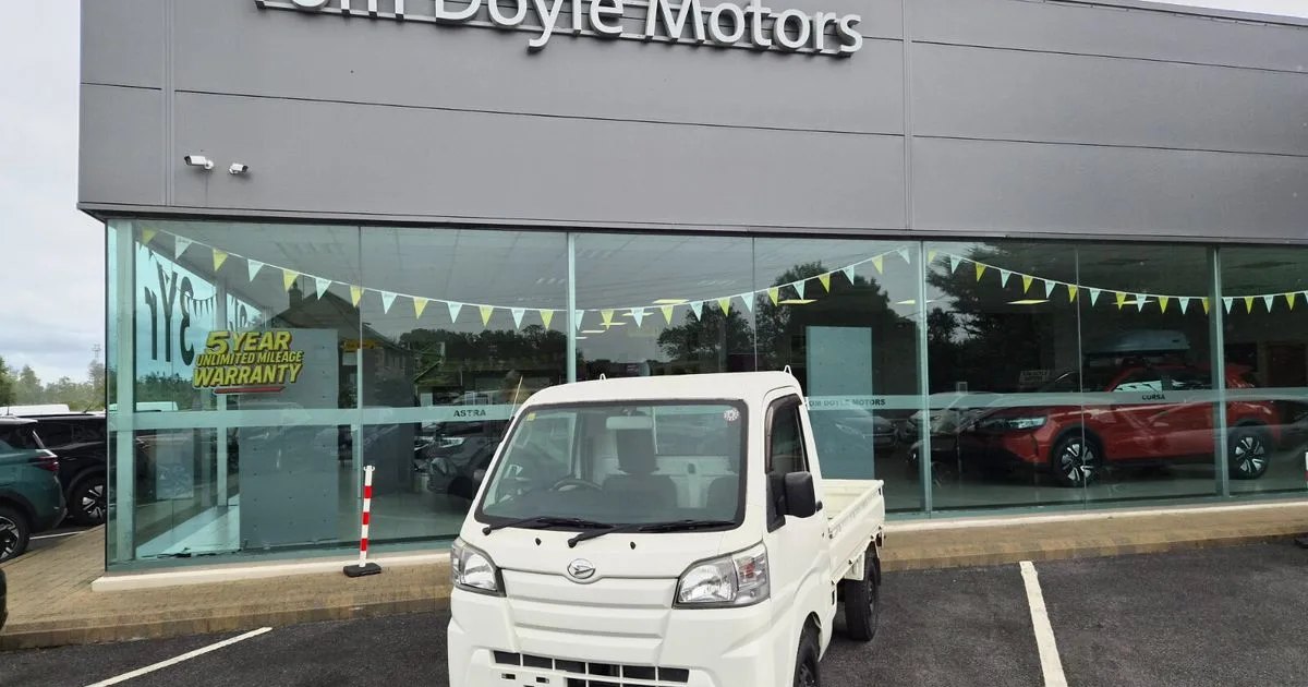 2010 Daihatsu Other