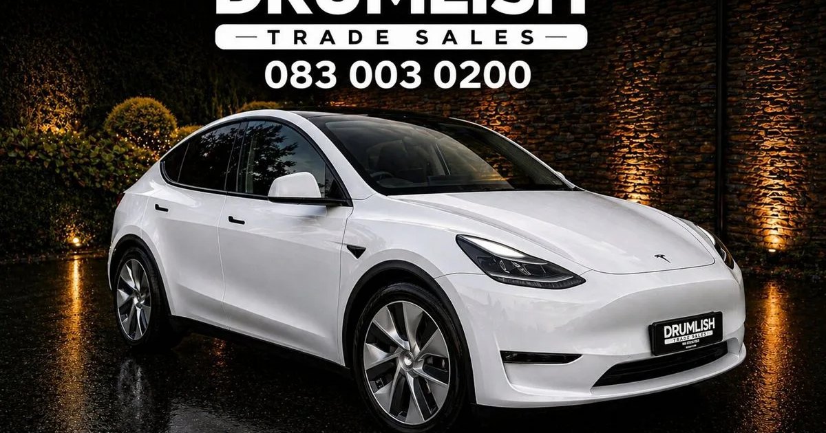 2022 Tesla Model Y