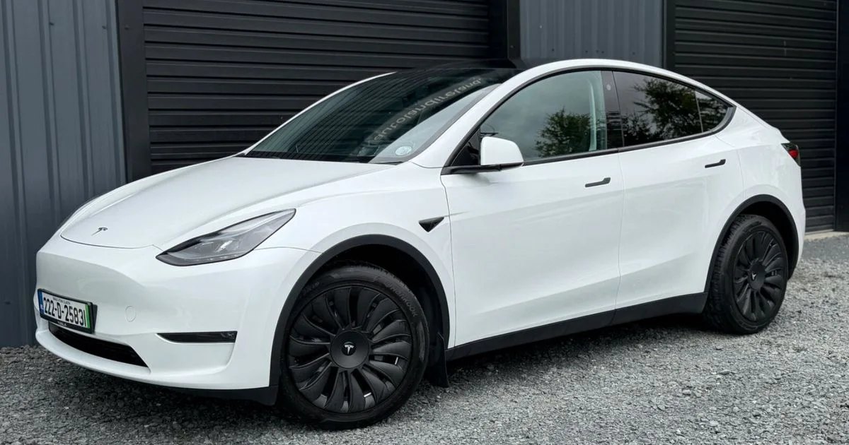 2022 Tesla Model Y