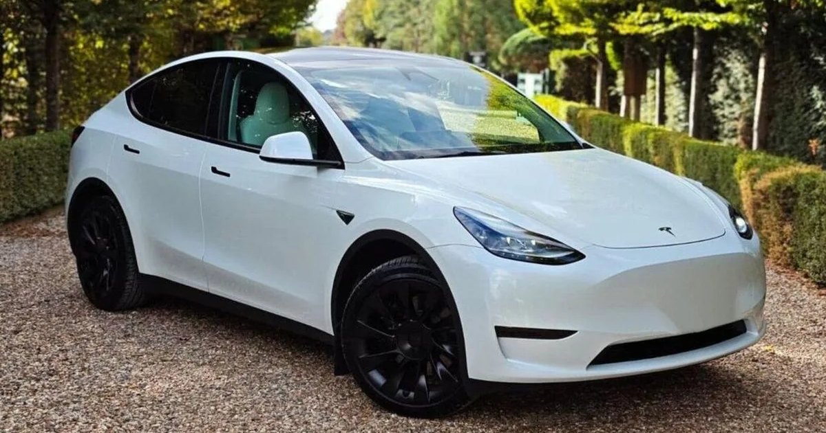 2024 Tesla Model Y