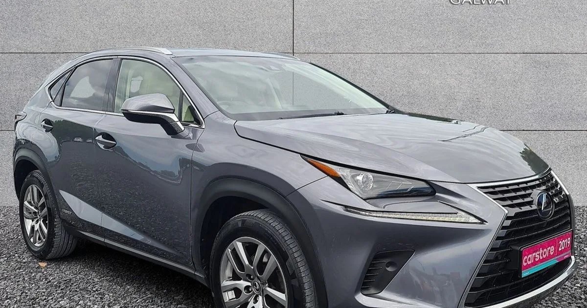 2019 Lexus NX