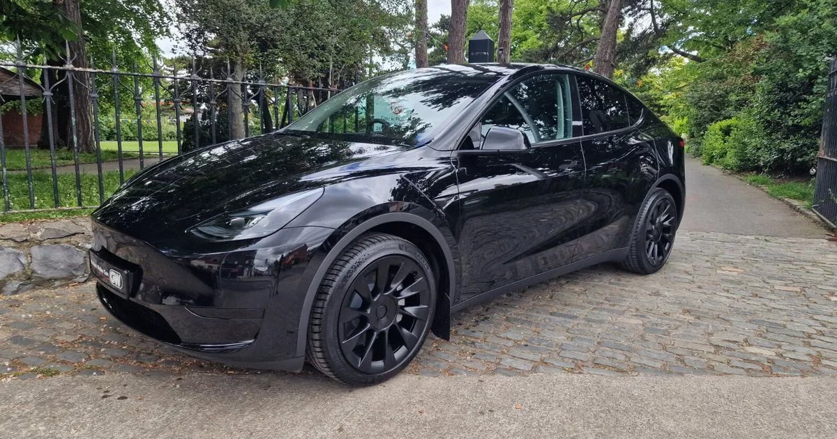 2023 Tesla Model Y