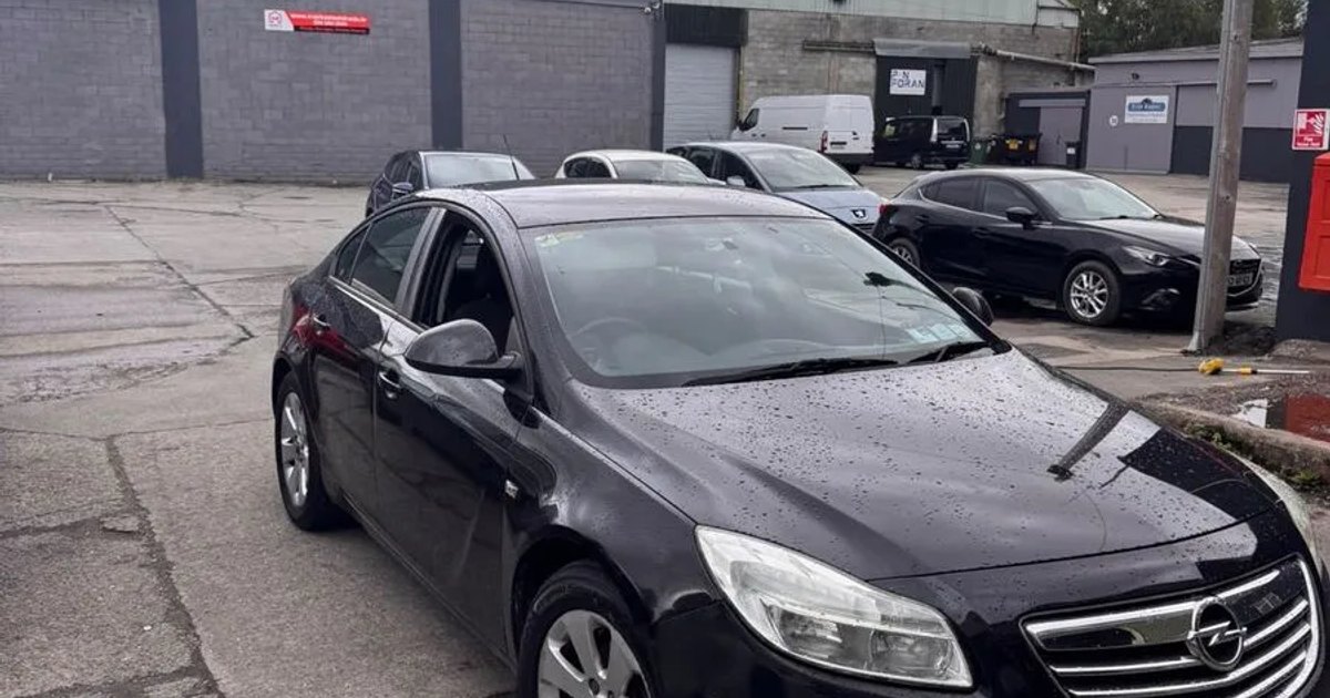 2010 Opel Insignia