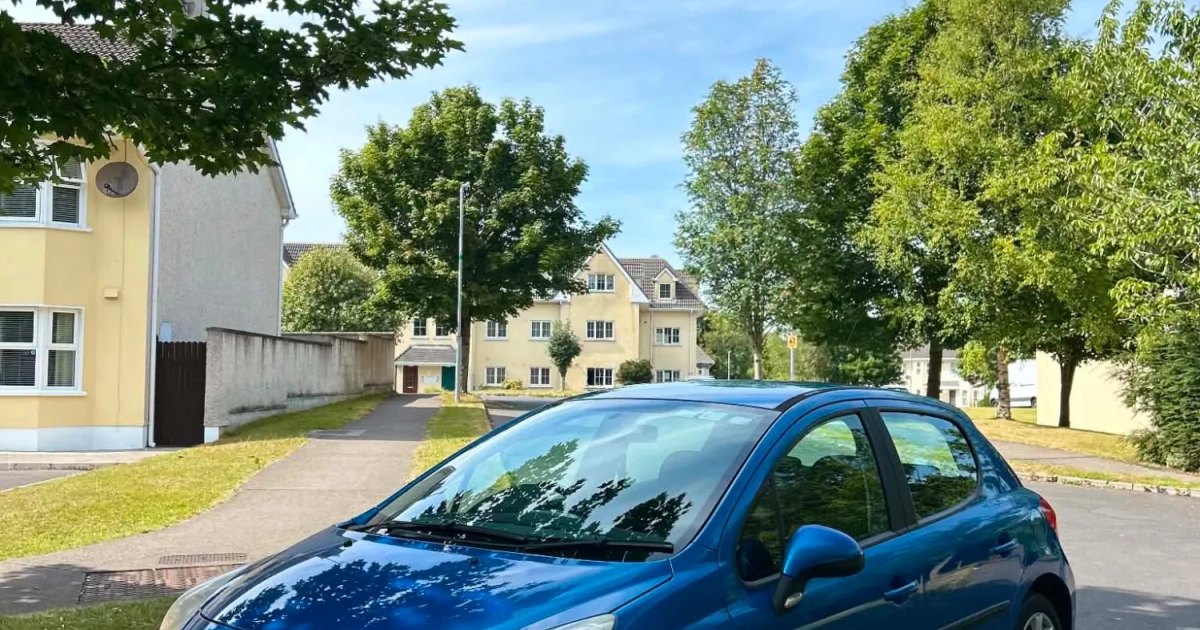 2008 Peugeot 207