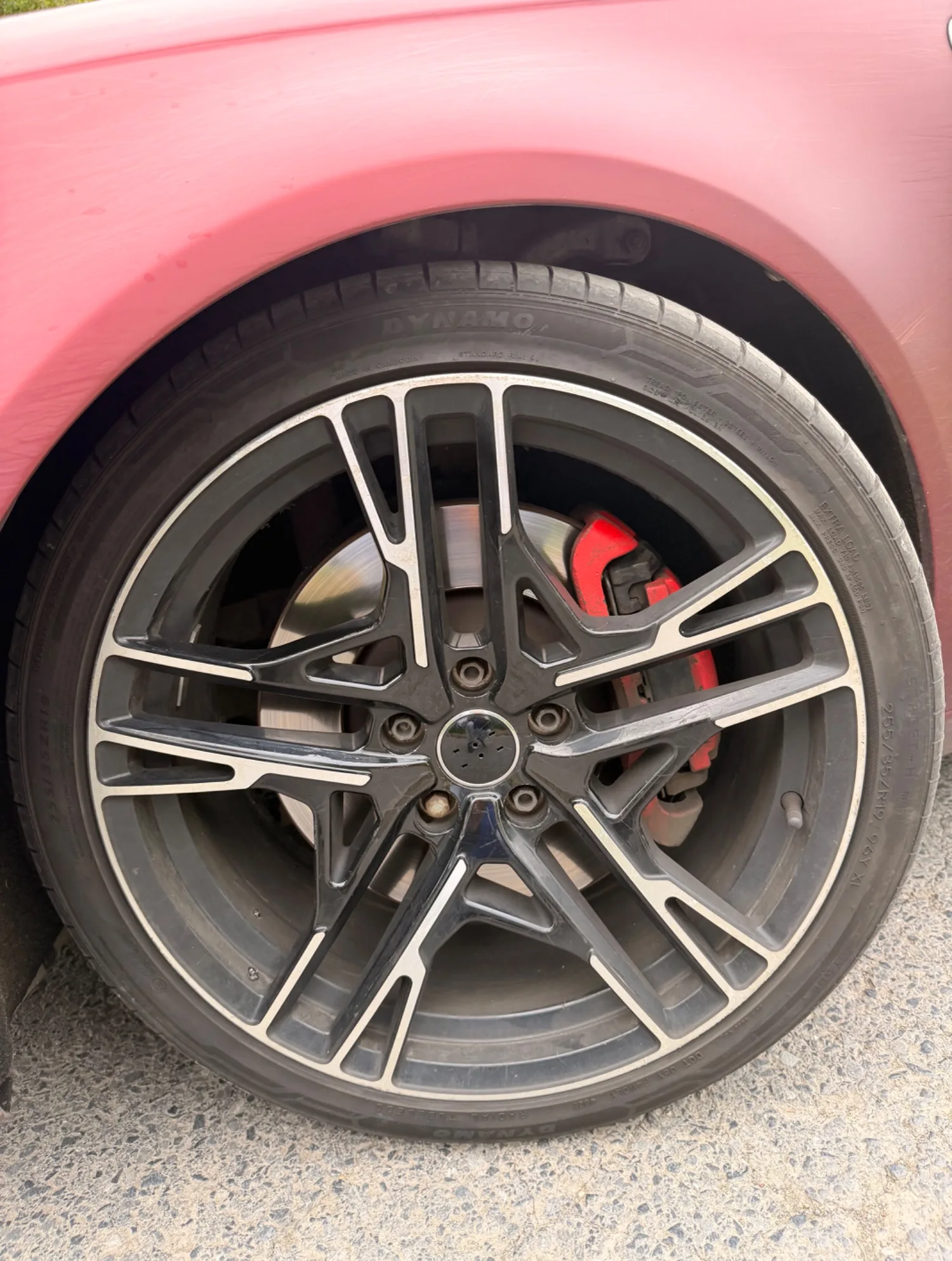 2008 Audi A6 – photo 7
