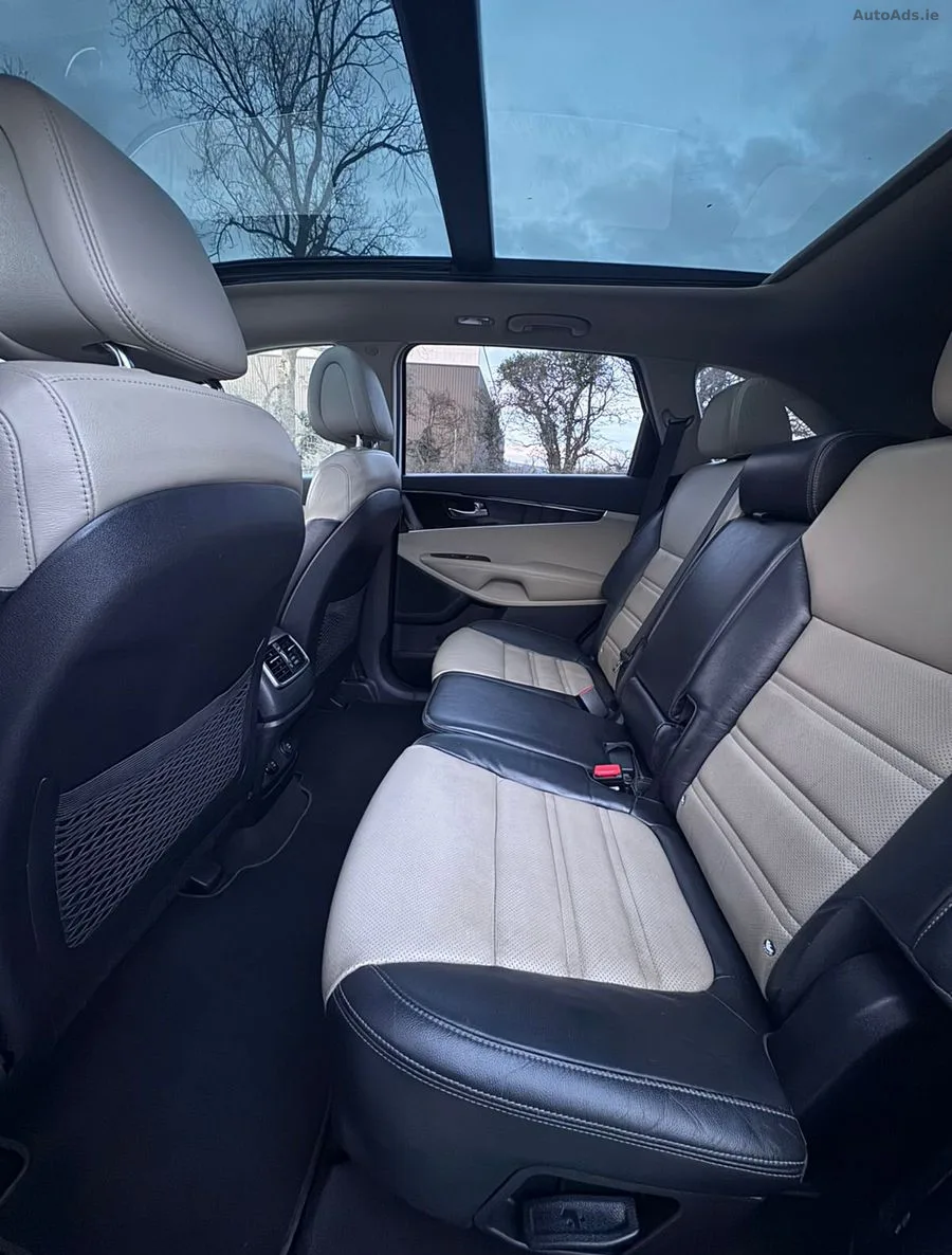 2017 Kia Sorento – photo 20