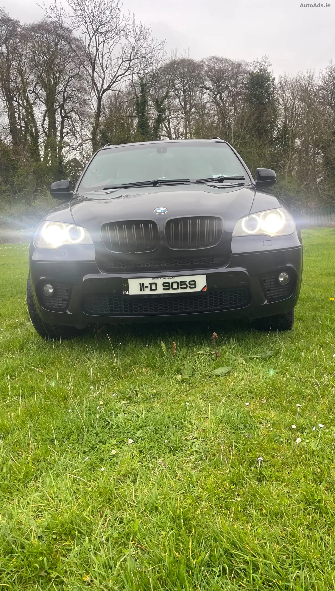 2011 BMW X5