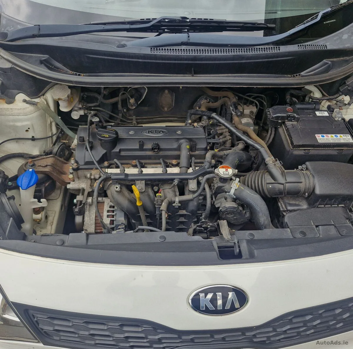 2014 Kia Rio – photo 10
