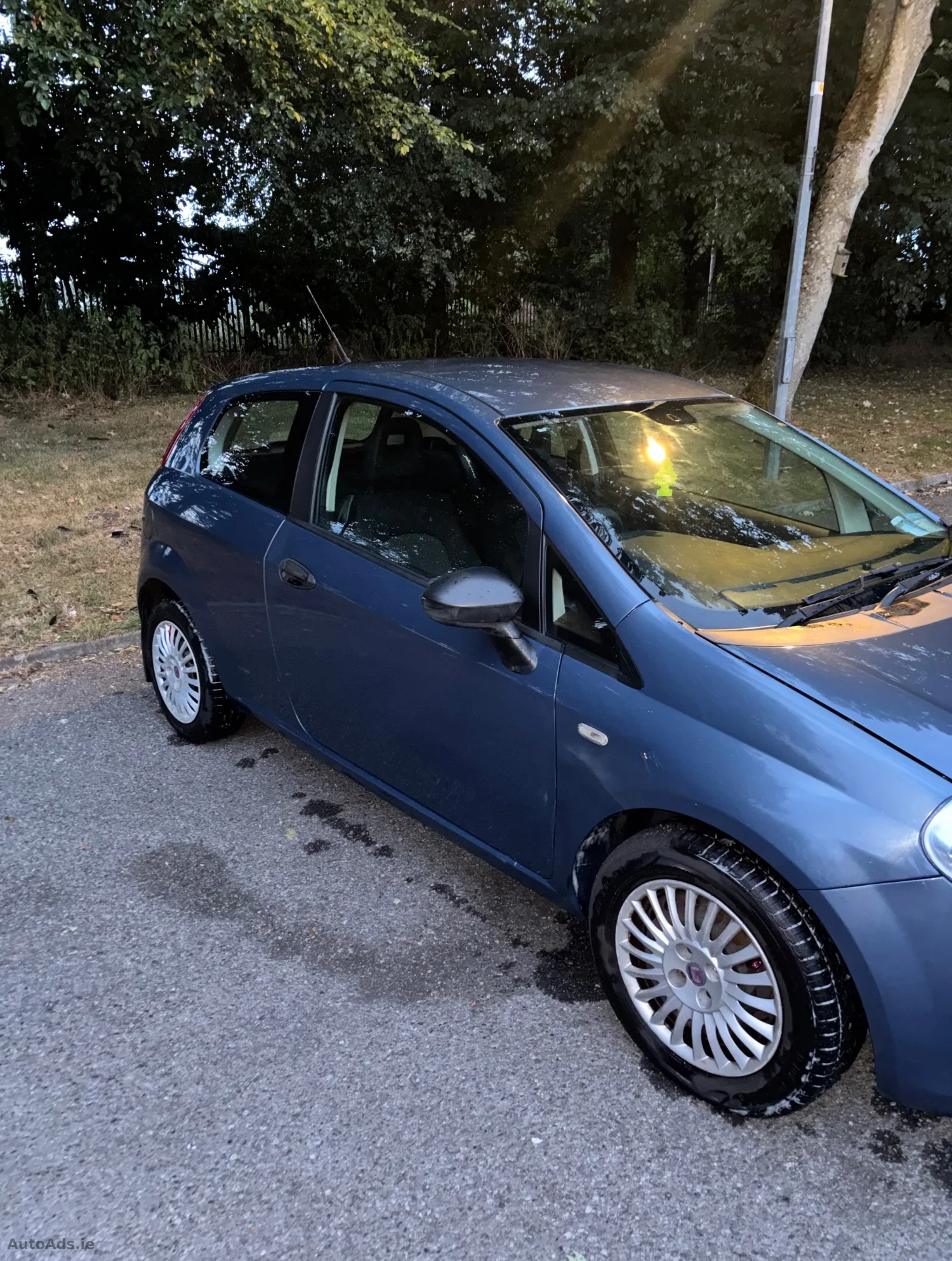 2009 Fiat Punto – photo 3