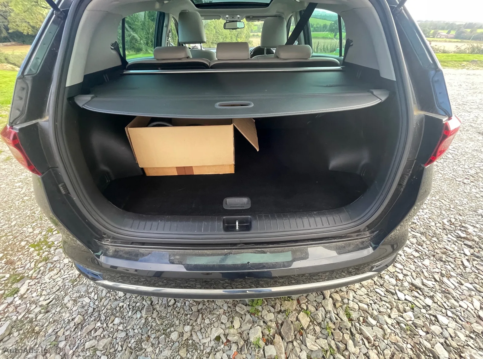 2020 Kia Sportage – photo 6