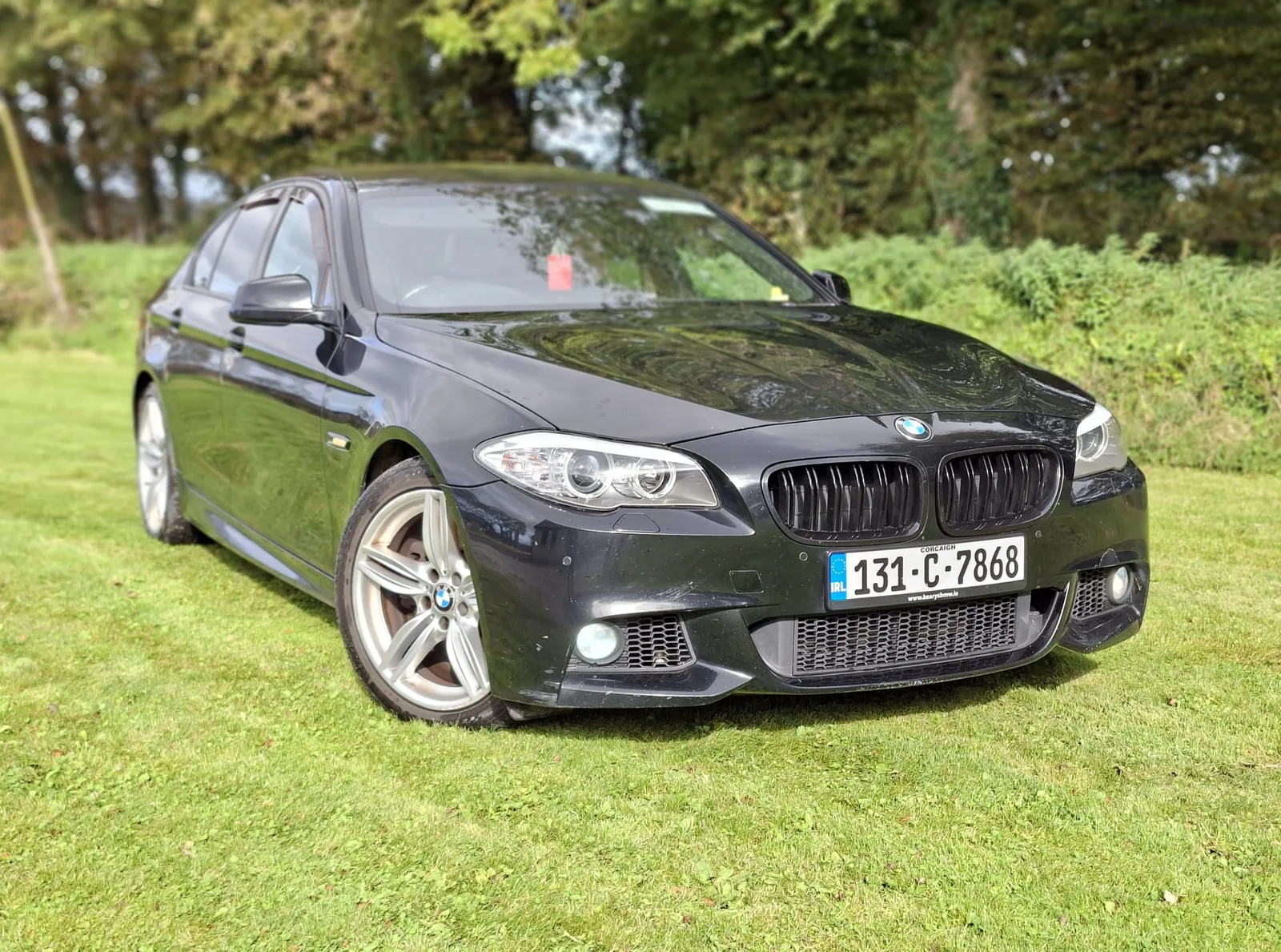 2013 BMW 5 Series