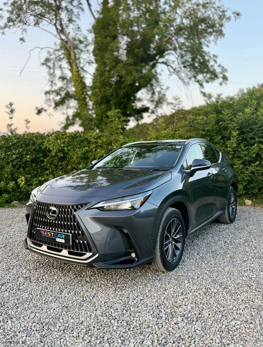 2025 Lexus NX 450h+ – photo 8