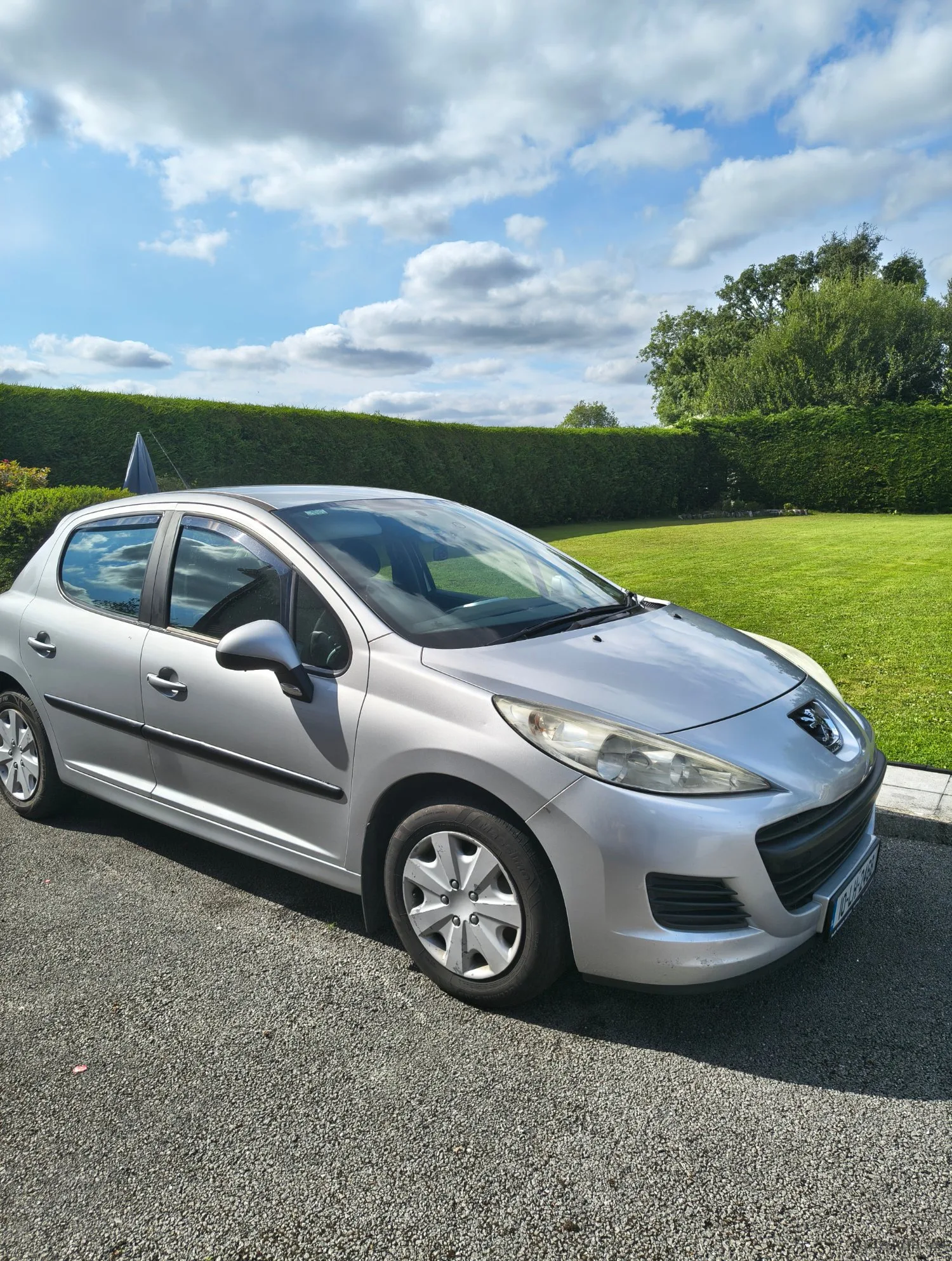 2010 Peugeot 207