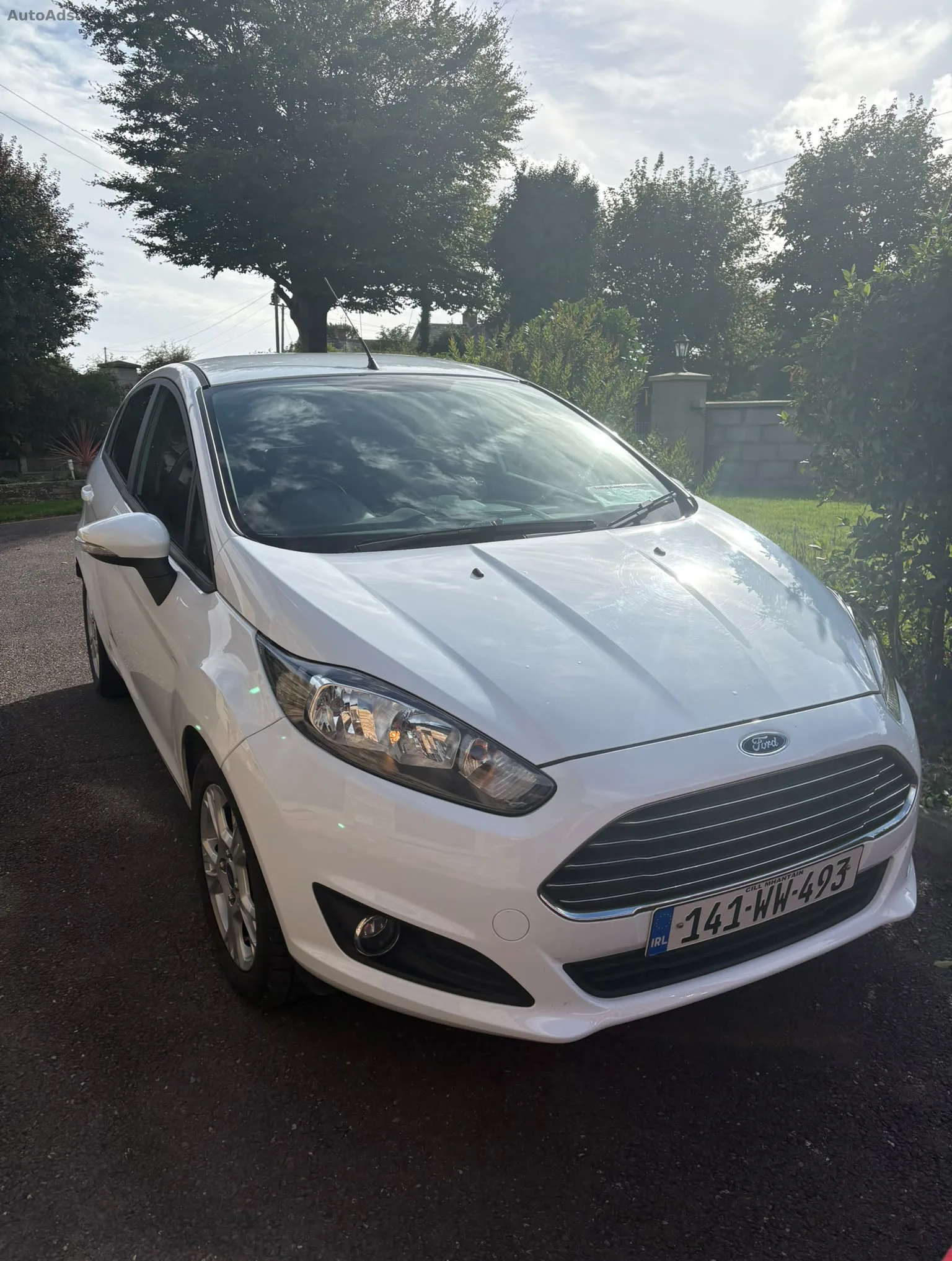 2014 Ford Fiesta
