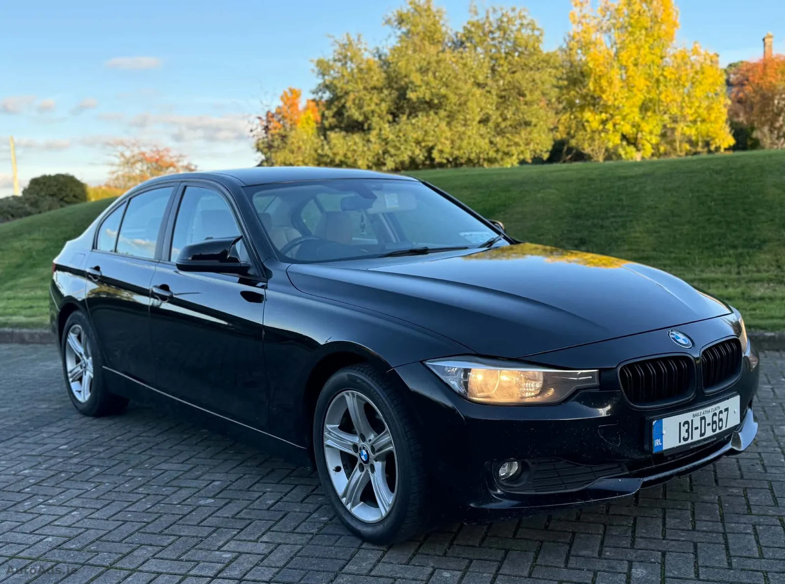 2013 BMW 3 Series – photo 8