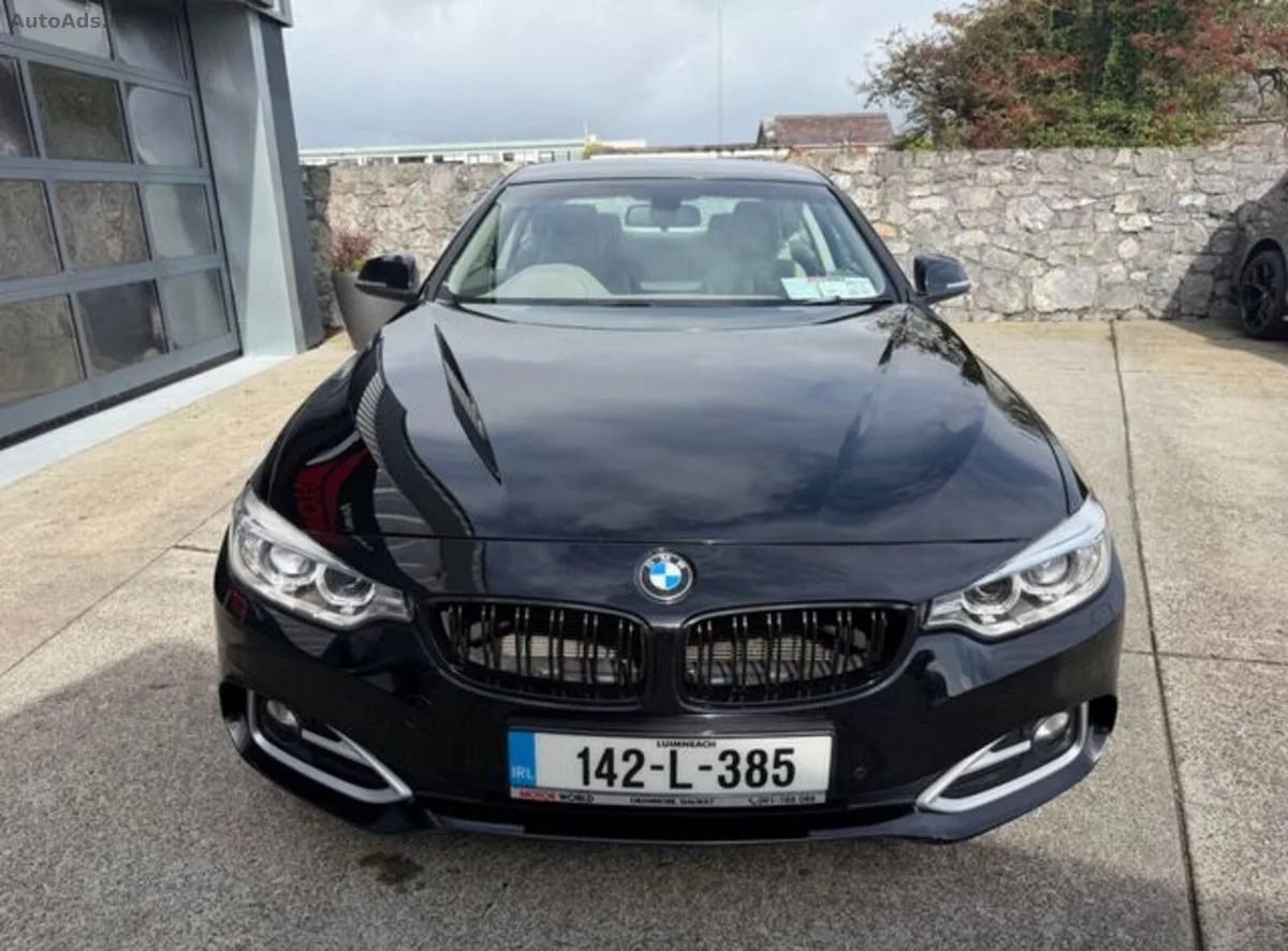 2014 BMW 4-Series – photo 6