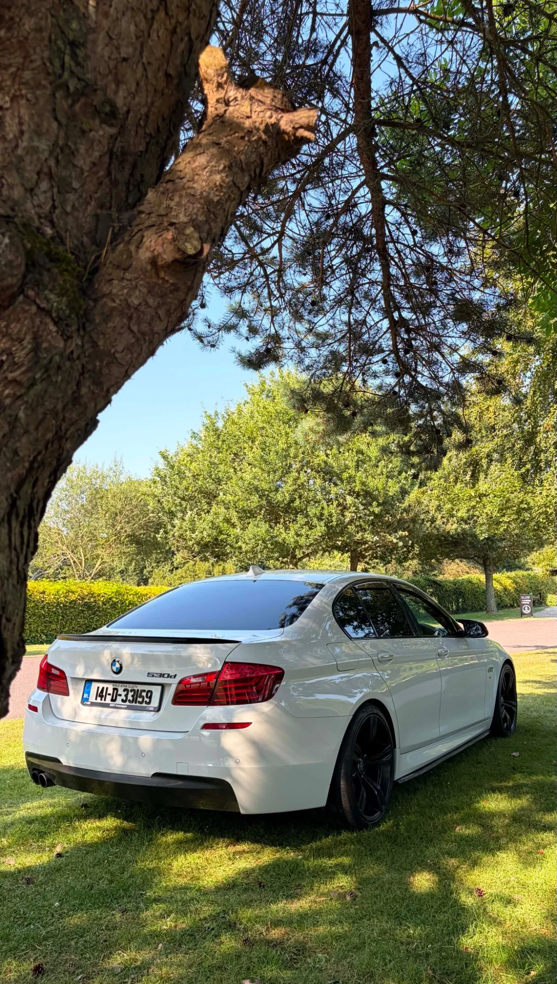 2014 BMW 5 Series – photo 3