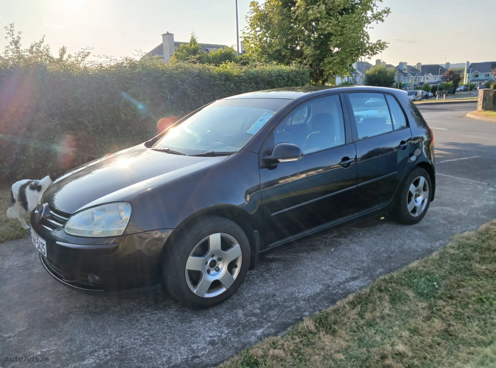2007 Volkswagen Golf – photo 3