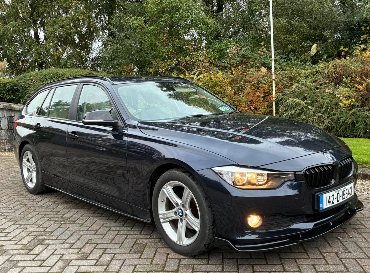 2014 BMW 3-Series – photo 2
