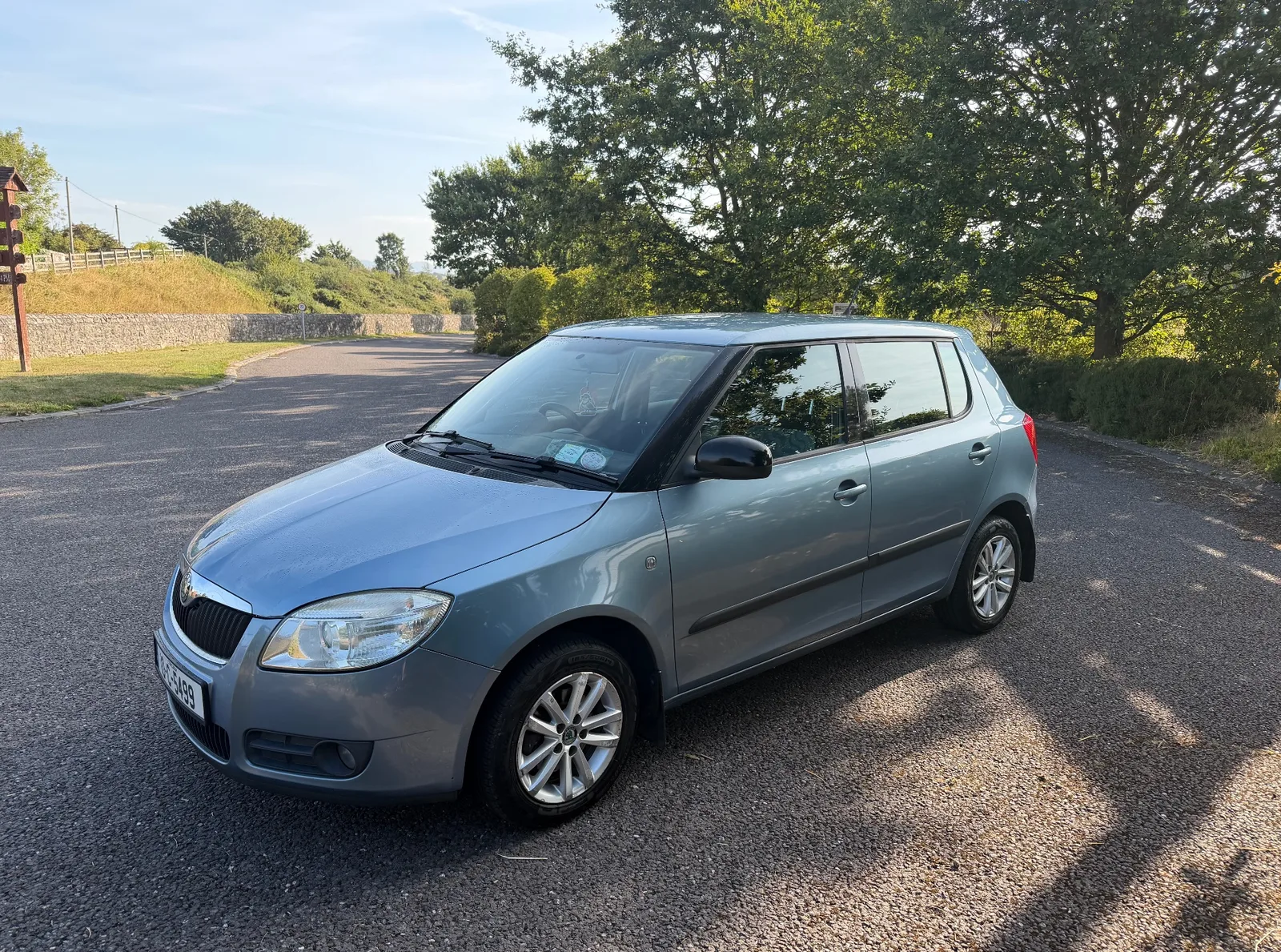 2010 Skoda Fabia – photo 6