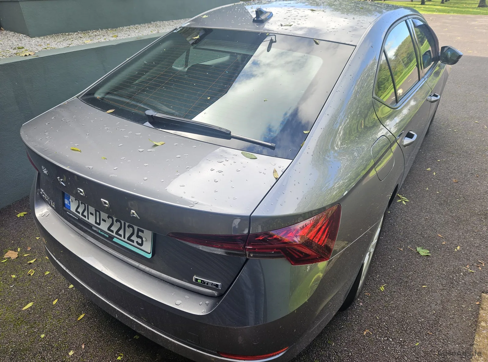 2022 Skoda Octavia – photo 3