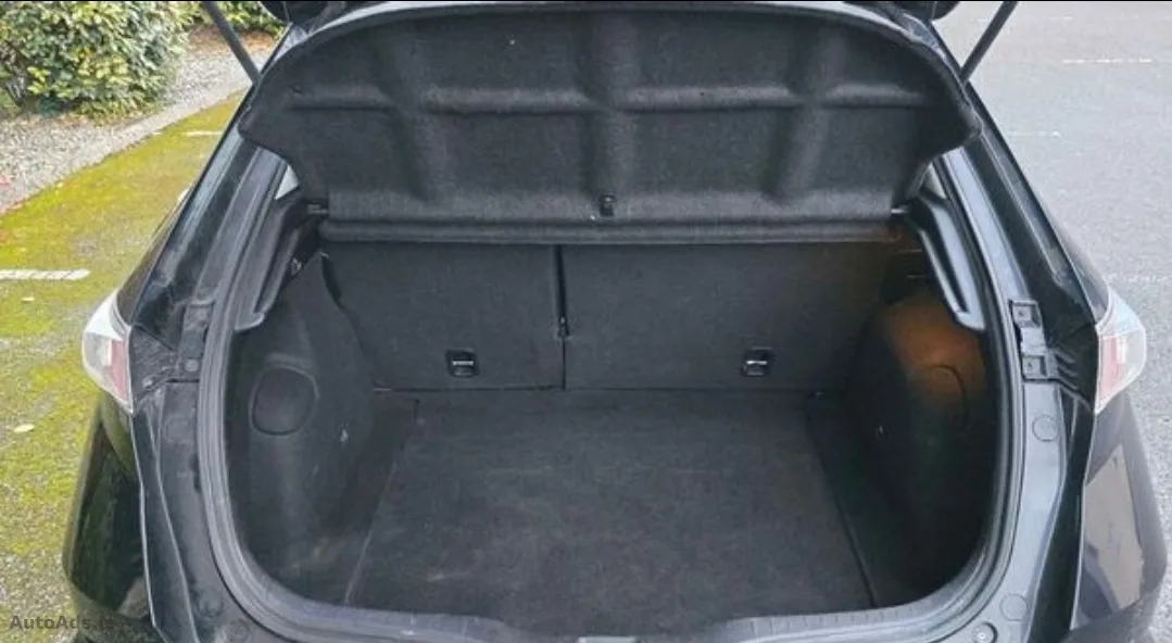 2009 Honda Civic – photo 10