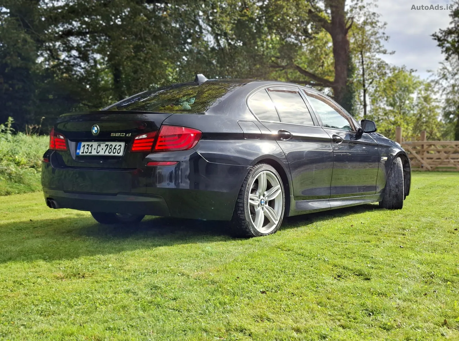 2013 BMW 5 Series – photo 3