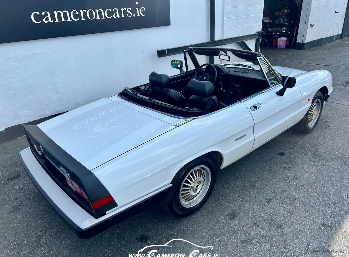 1989 Alfa Romeo Spider – photo 16