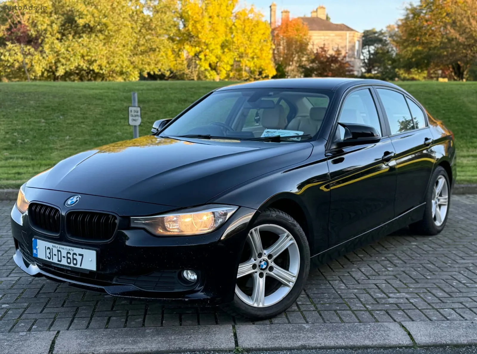 2013 BMW 3 Series – photo 3