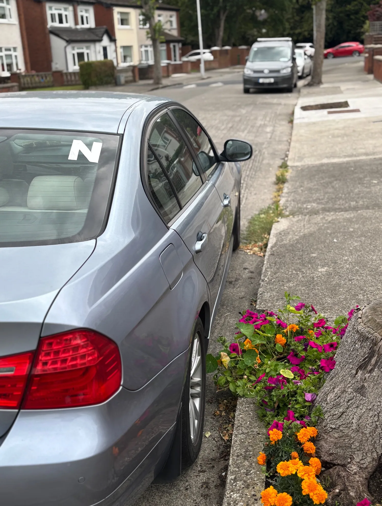 2009 BMW 3 Series – photo 5